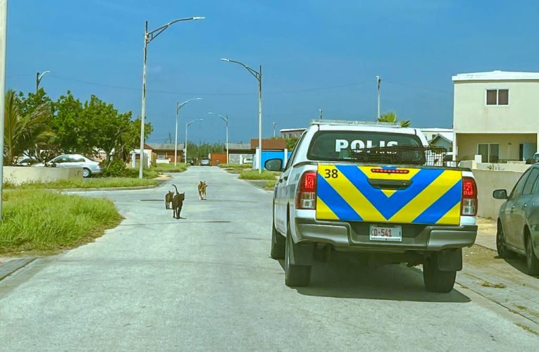 Durante un accion policial, tocante cacho los riba caya