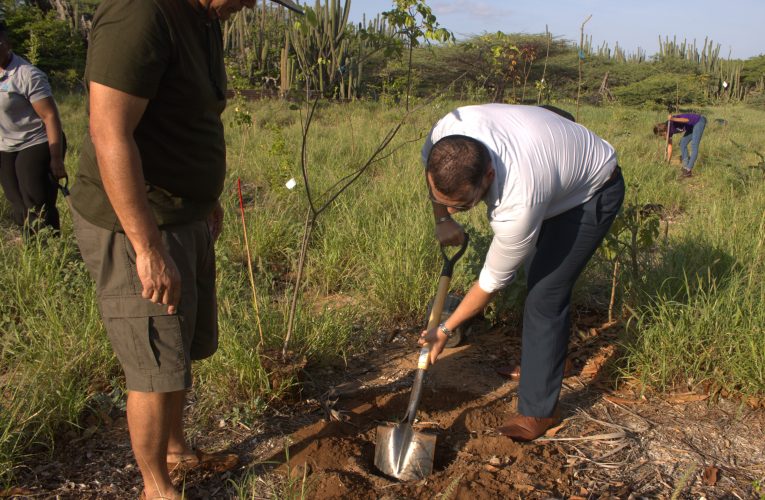 Minister Rocco Tjon: BAN PLANTA PA SALUD MENTAL