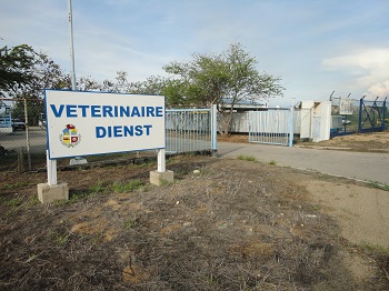 Horario di servicio di Abattoir (Veterinaire Dienst) pa temporada druk di November y December