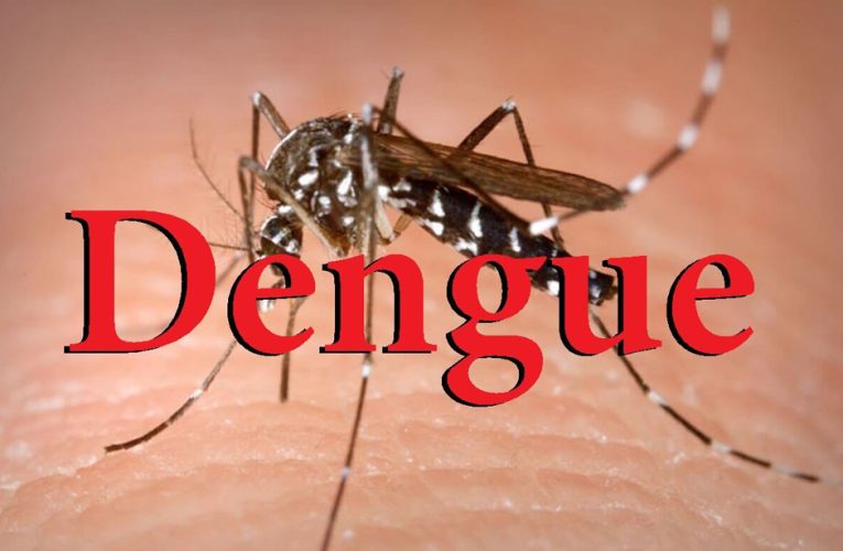 Casonan sospechoso di Dengue ta subiendo na Aruba